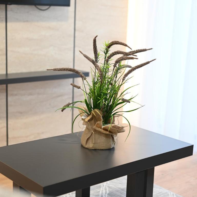 Hana boutique apartments - Deluks Apartman s 1 Spavaćom Sobom - 2