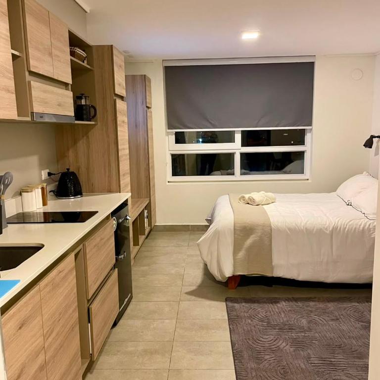 Epic Hotel Temuco - Apartamento de 1 dormitorio - 1