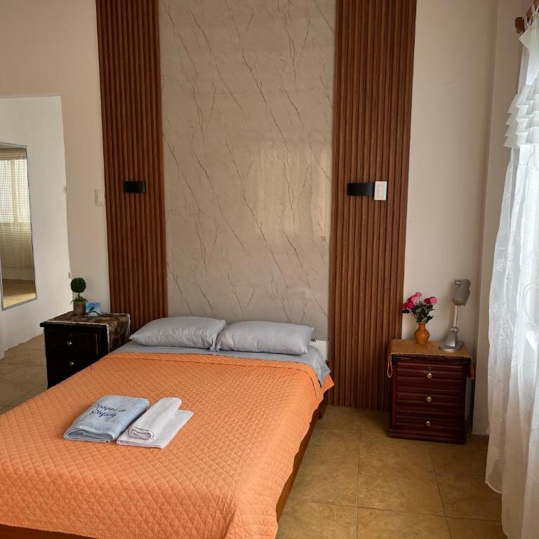 Stefany Hospedaje - Habitación Deluxe - 1 cama grande - 2