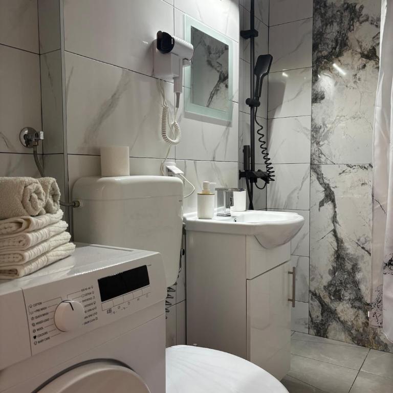Apartment Molinelli - Apartman sa 1 Spavaćom Sobom - 8