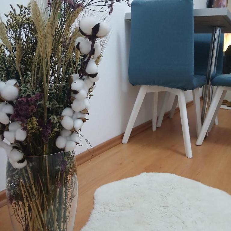 Apartment Molinelli - Apartman sa 1 Spavaćom Sobom - 13