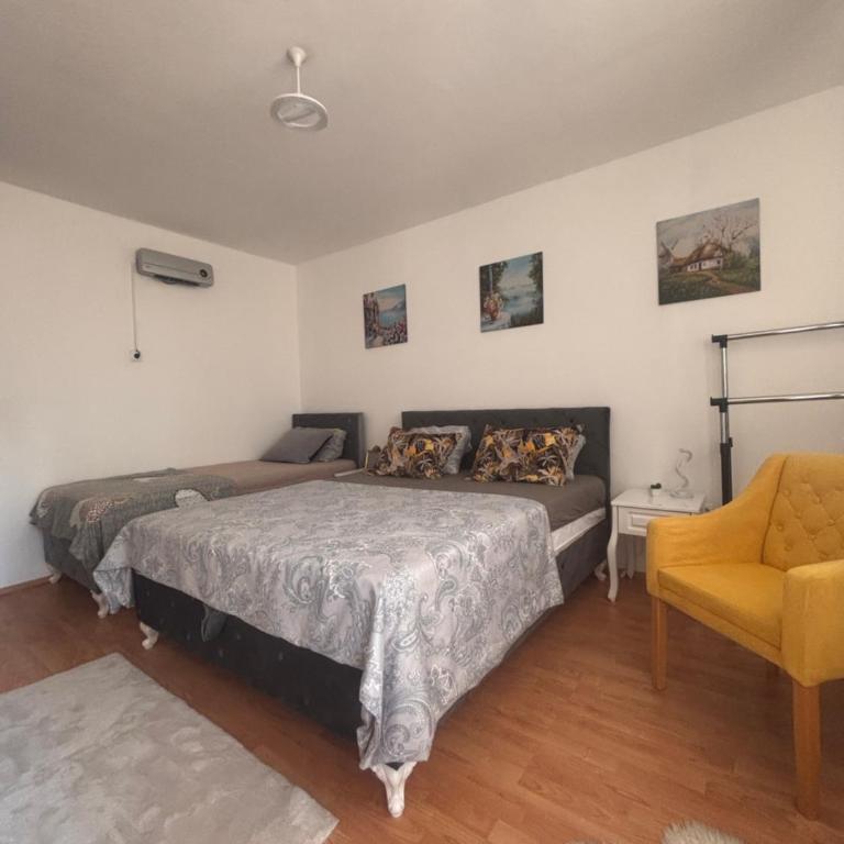 Apartment Molinelli - Apartman sa 1 Spavaćom Sobom - 6