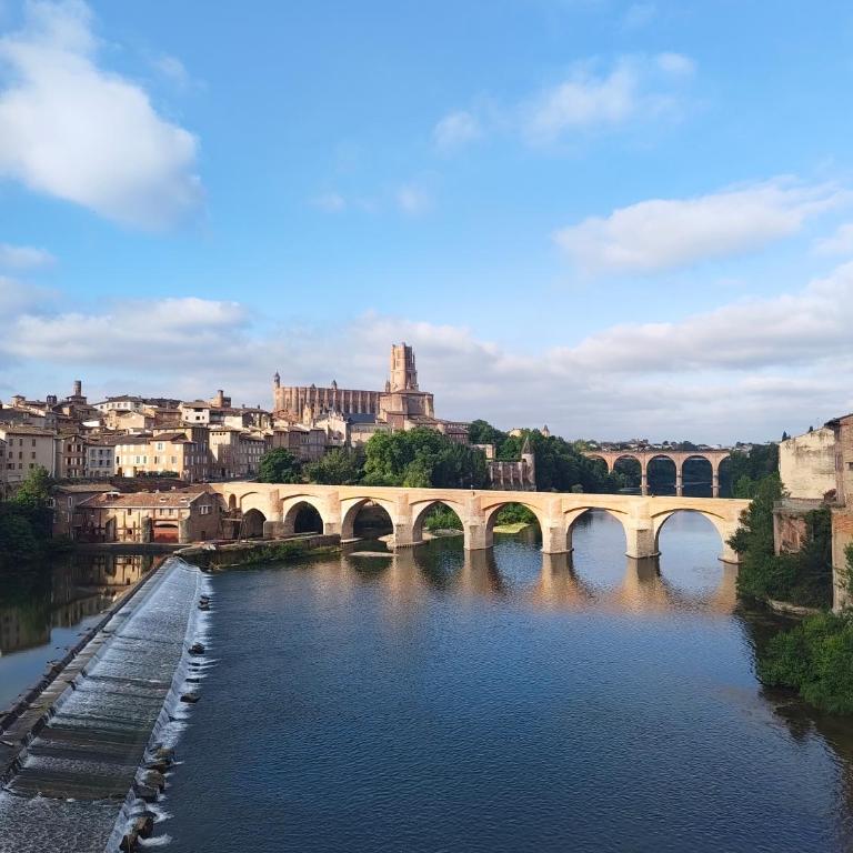Un cocon avec terrasse au cœur du centre ville historique pour visiter Albi à pied - Appartement 1 Chambre - 14