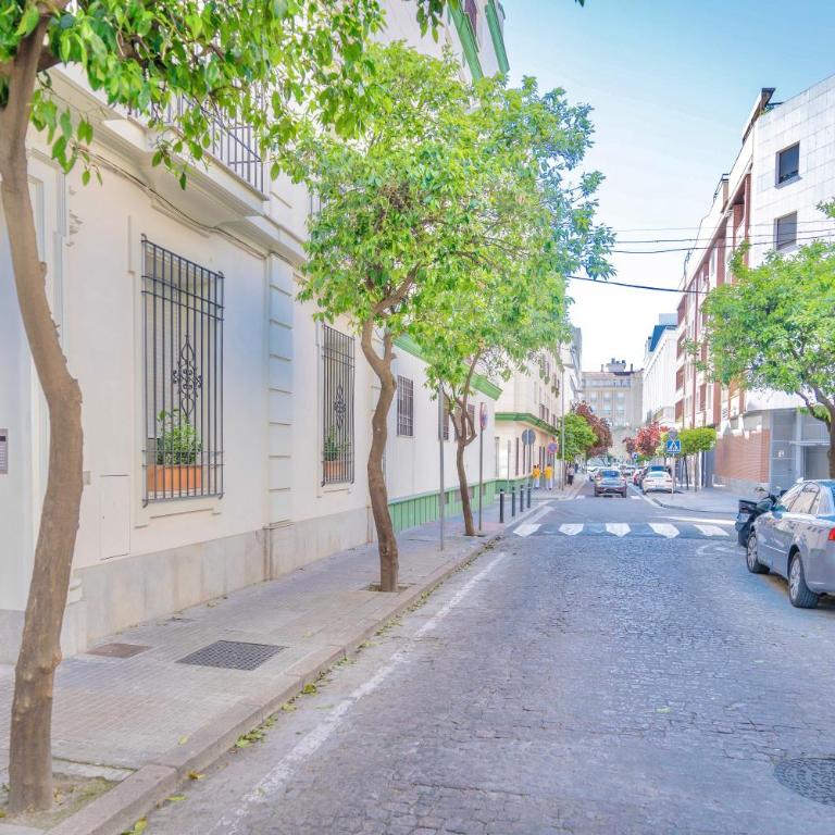 Oasis Arfe 17 - Appartement 1 Chambre - 4
