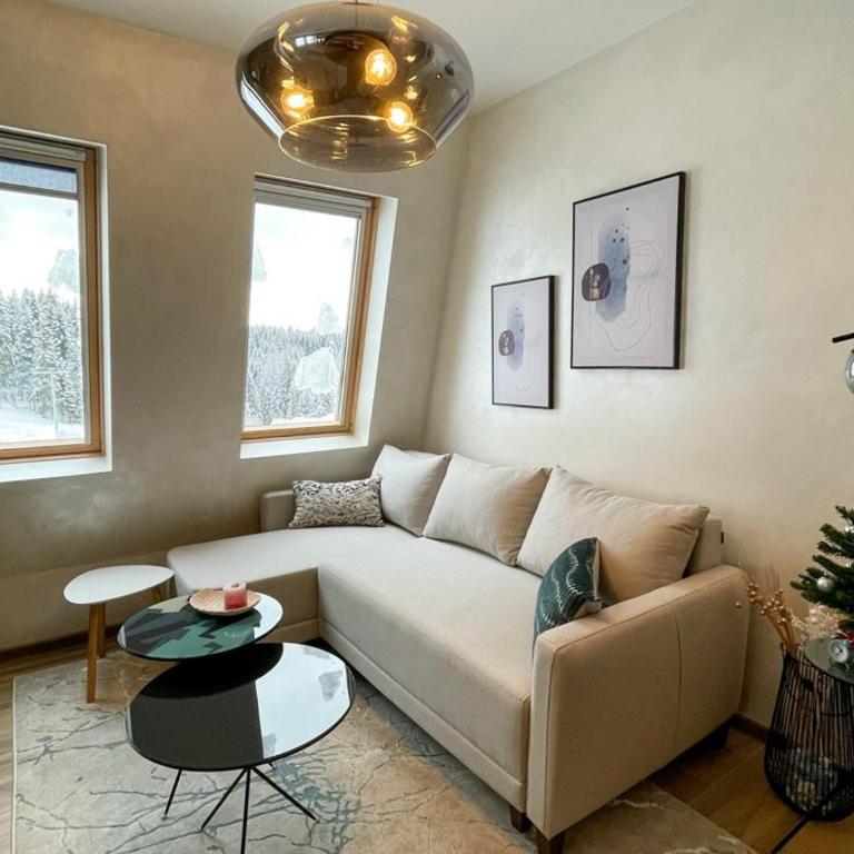 DUNIK Ravna Planina - Apartment mit 1 Schlafzimmer - 7