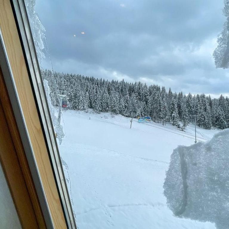 DUNIK Ravna Planina - Apartment mit 1 Schlafzimmer - 14