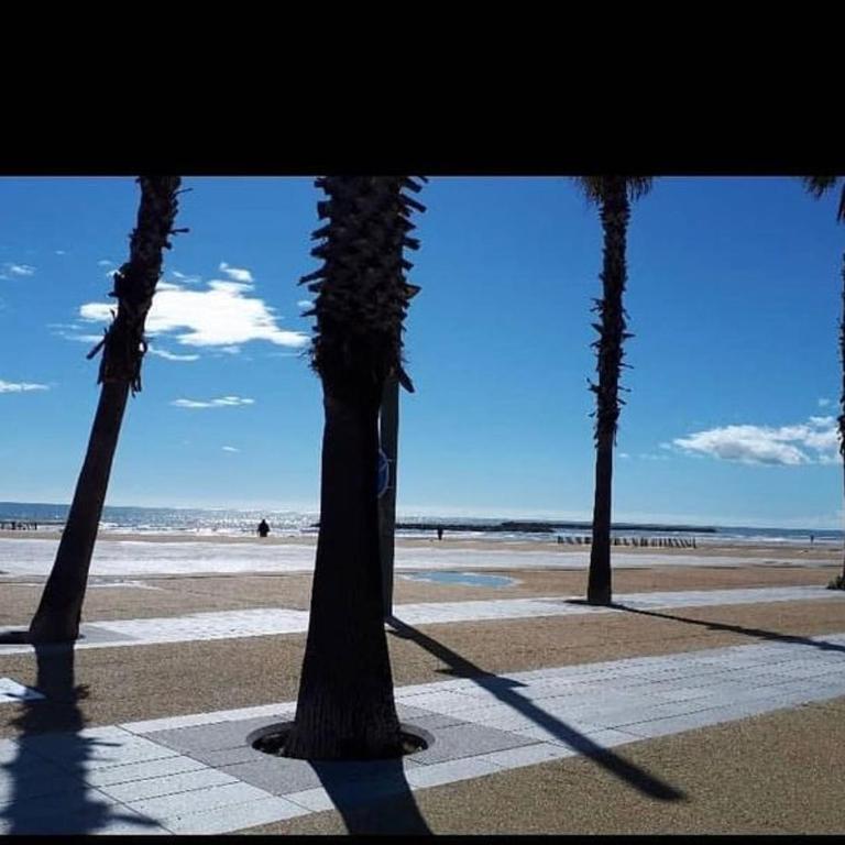 Superbe vue marina proche mer - Appartement 1 Chambre - 4