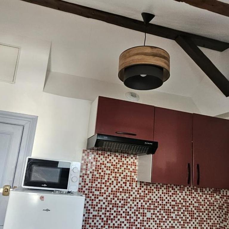 APART RENOVE PRES des DOCKS 4 PERS - Appartement 1 Chambre - 14