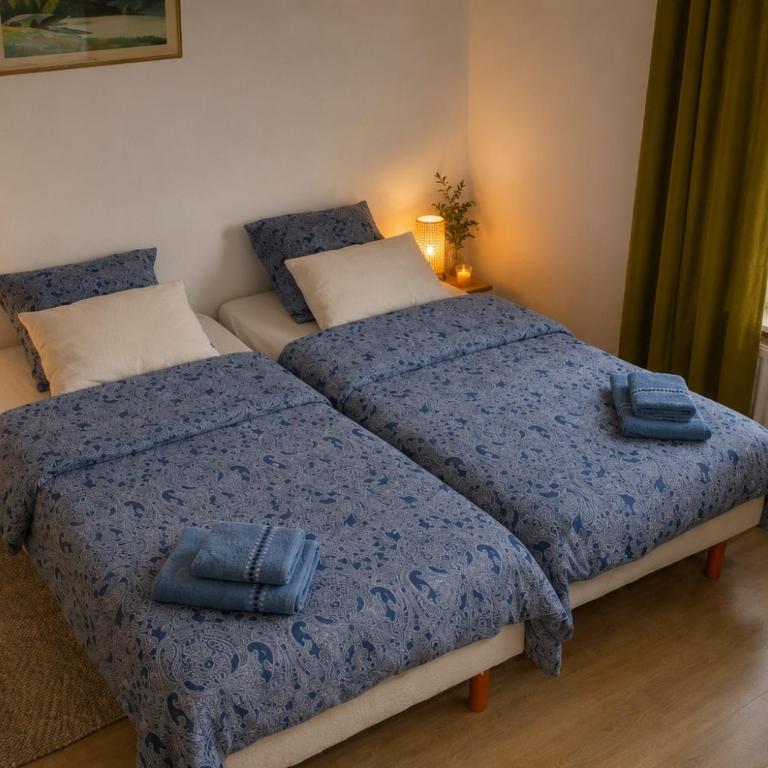 Grand duplex familial 113 m - Jardin - Colmar Gare - Jusqu'à 8 pers - Appartement - Vue sur Jardin - 3