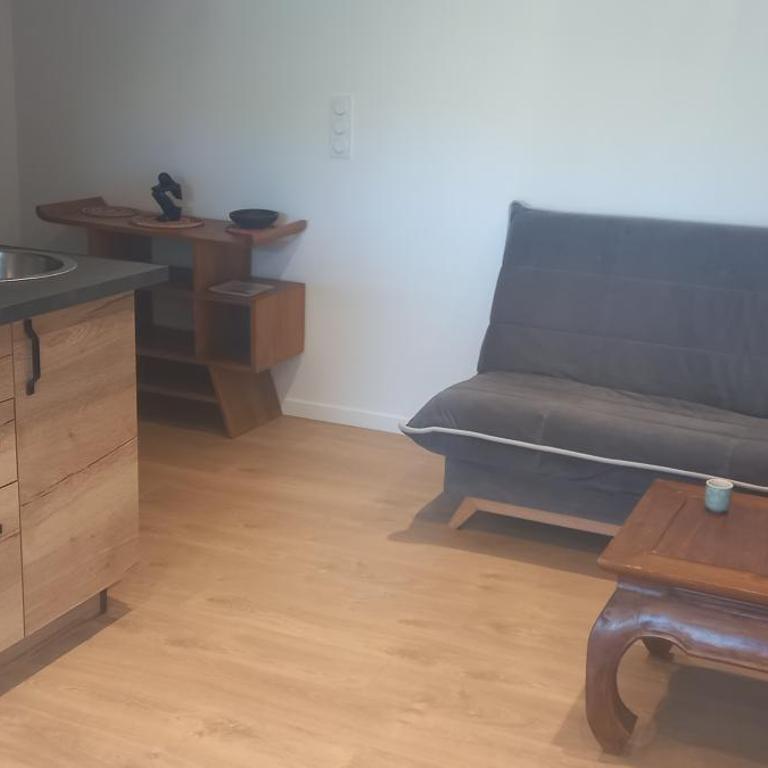 Le coin détente - Appartement 1 Chambre - 8