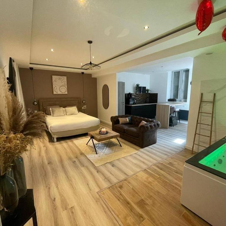 L'Eden Spa - Jacuzzi - Saint-Etienne - Apartamento de 1 dormitorio - 17