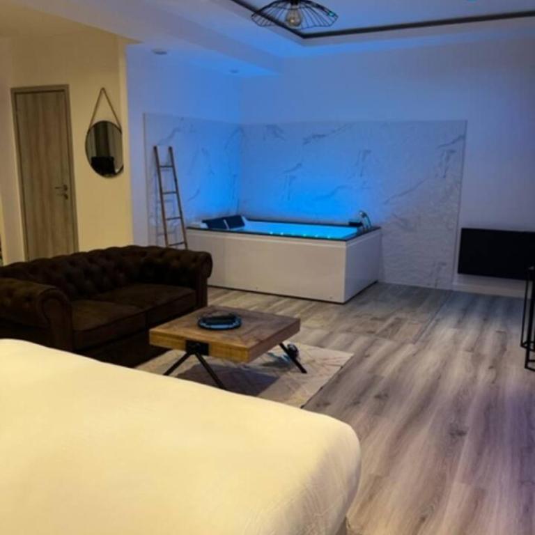 L'Eden Spa - Jacuzzi - Saint-Etienne - Apartamento de 1 dormitorio - 21