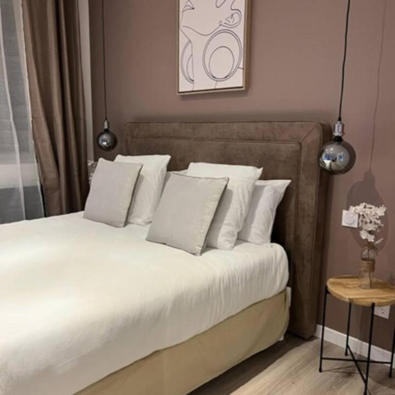 L'Eden Spa - Jacuzzi - Saint-Etienne - Apartamento de 1 dormitorio - 22