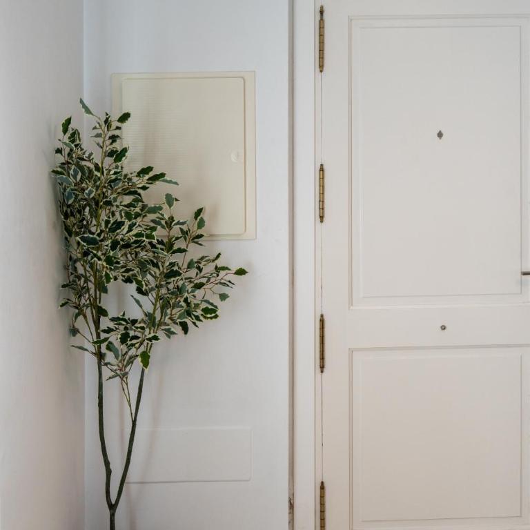 La Casita Fuengirola - Charming 3 bed ground floor - Apartment - 6