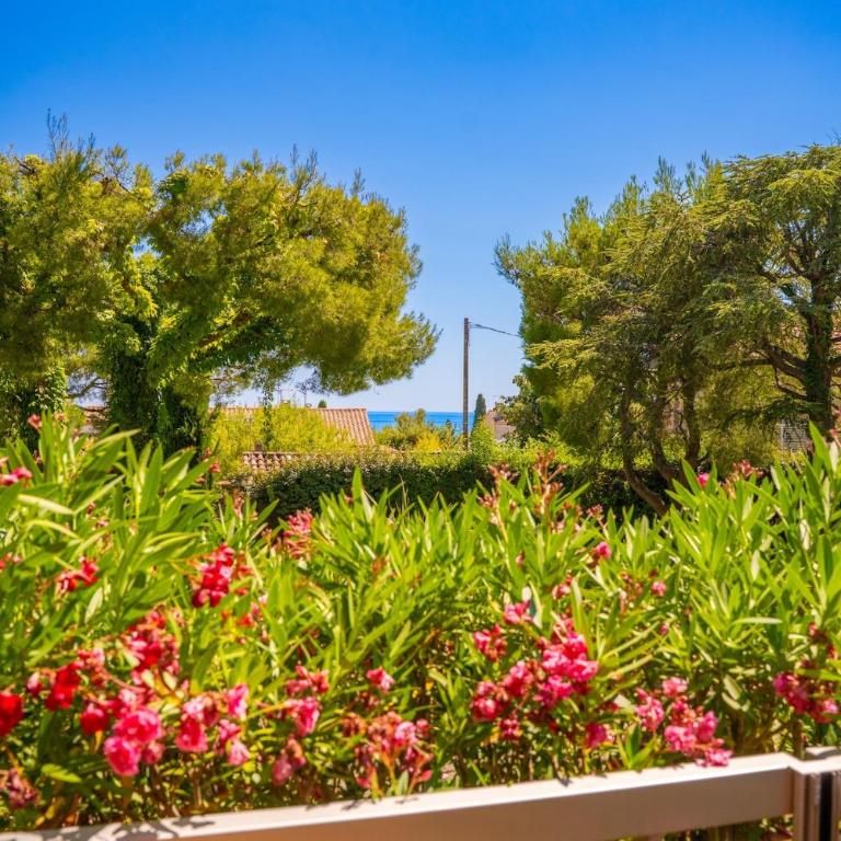 Charmant T2 avec terrasse à Bandol - Appartement 1 Chambre - 12