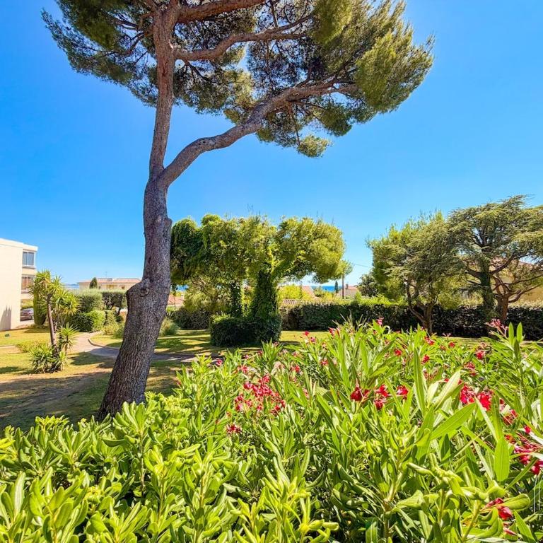 Charmant T2 avec terrasse à Bandol - Appartement 1 Chambre - 14