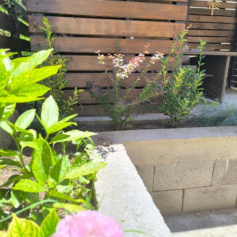 Apartmani ZAT - Apartman sa 1 Spavaćom Sobom - 7