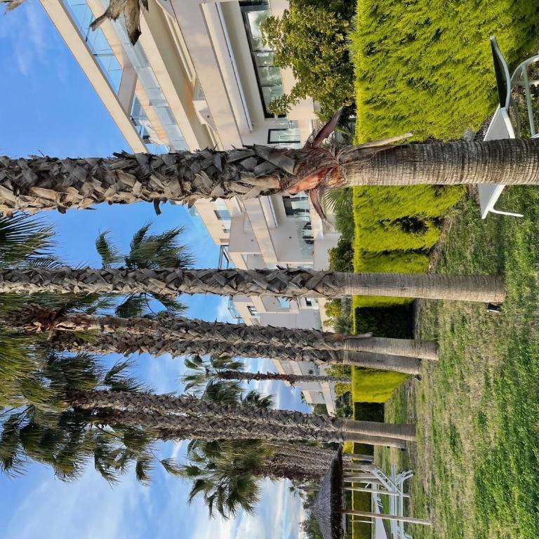 Magnífico apartamento en Las Colinas Resort - Apartamento de 3 dormitorios Premium - 34