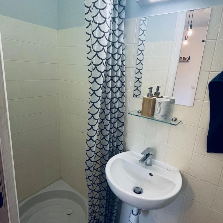 Nice Studio of 12 m2 Between Lake & Ski Slopes - Appartement 1 Chambre - 4