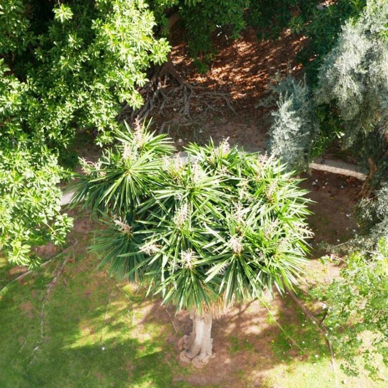 MalagadeVacaciones - Thiele Beach - Appartement 3 Chambres - 2
