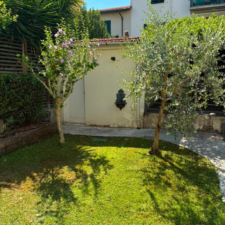 Via Mazzei, 21 - Firenze - Triple Room with Private Bathroom - 13