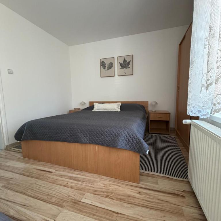 apartmani.miletic 1 - Apartment - 2