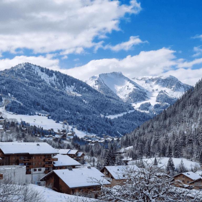 Charmant T3 à Châtel avec balcon, proche centre et remontées mécaniques, 6 personnes - FR-1-676-10 - Appartement - 17