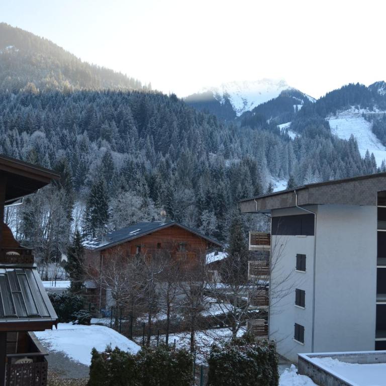 Chalet spacieux à Châtel, 12 pers., 3 chambres, proche remontées Linga, WiFi, balcon et garage - FR-1-676-74 - Chalet - 19