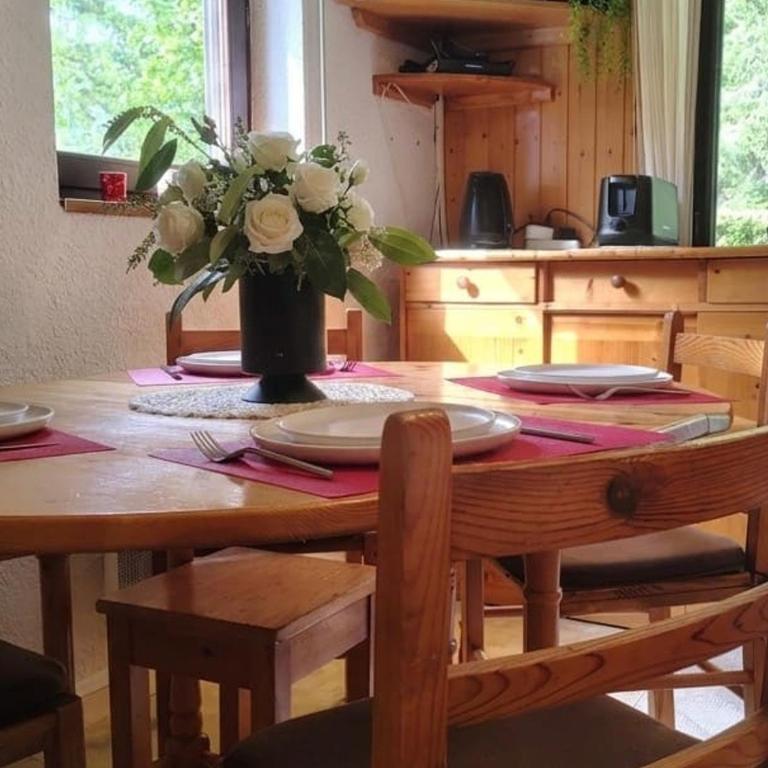 Charmant 2 pièces avec terrasse, proche commodités et navettes, 4 pers, WiFi, parking, Châtel - FR-1-676-187 - Appartement - 3
