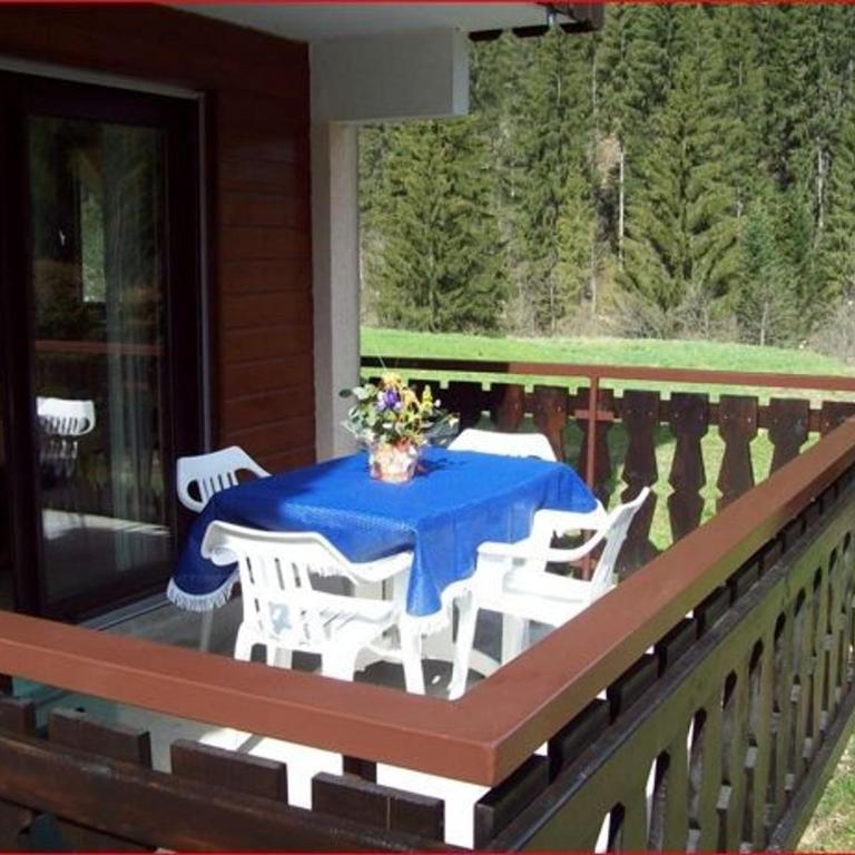 Charmant 2 pièces avec terrasse, proche commodités et navettes, 4 pers, WiFi, parking, Châtel - FR-1-676-187 - Appartement - 10
