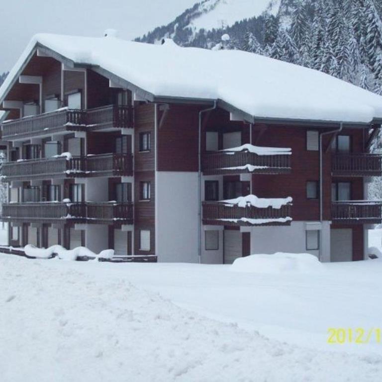 Charmant 2 pièces avec terrasse, proche commodités et navettes, 4 pers, WiFi, parking, Châtel - FR-1-676-187 - Appartement - 12