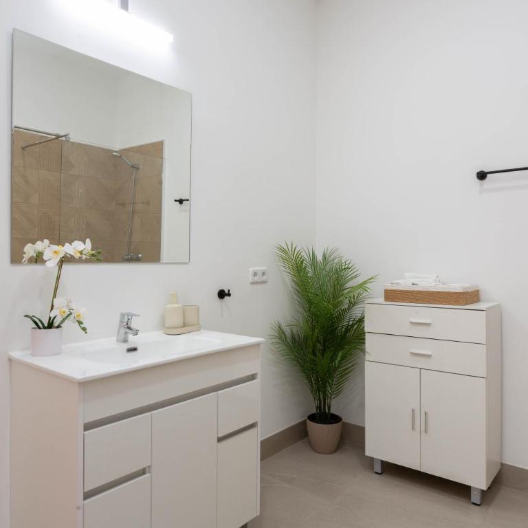 Tamayo y Baus II - Apartamento - 21