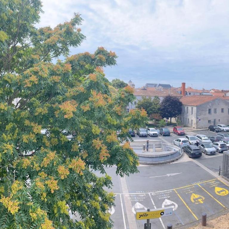 Charmant appartement centre ville La Rochelle - Appartement 1 Chambre - 18
