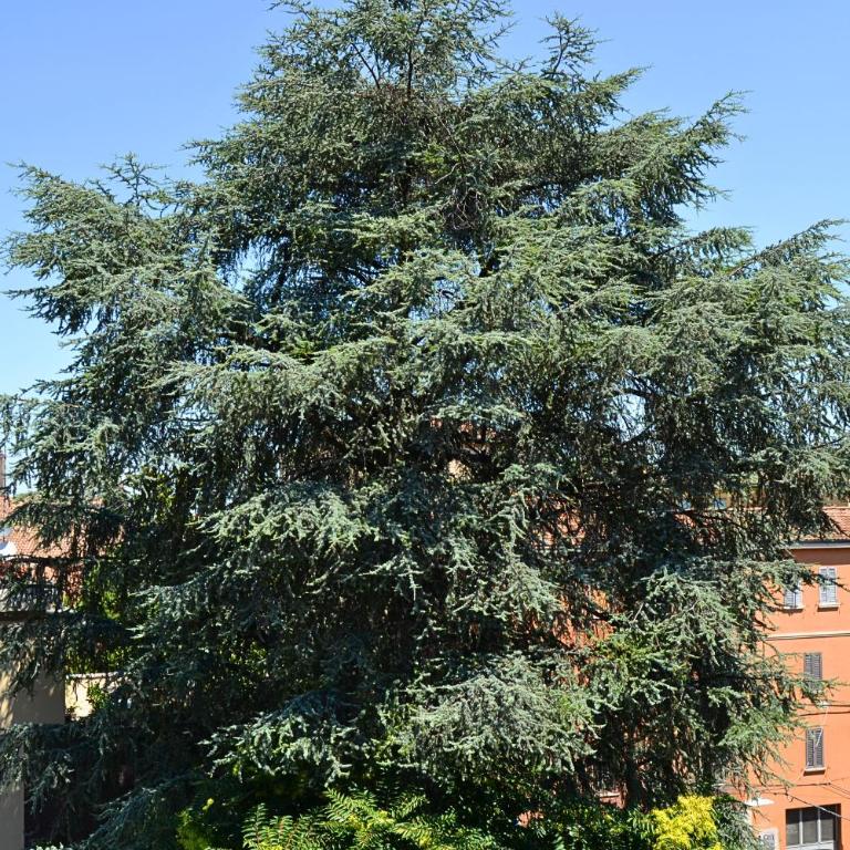 Everyday Apartments Giardini Margherita - Appartamento Premium con 1 Camera da Letto - 7