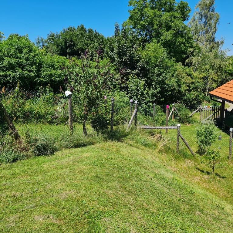 NaturZeit Allgäu - Apartment mit 1 Schlafzimmer und Aussicht - 7