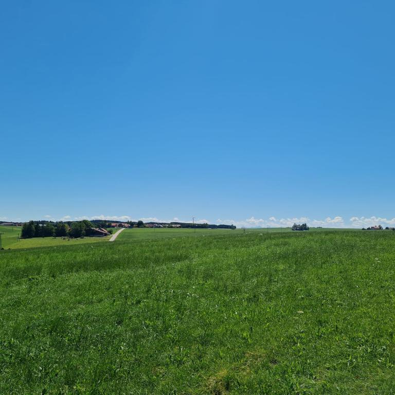 NaturZeit Allgäu - Apartment mit 1 Schlafzimmer und Aussicht - 3