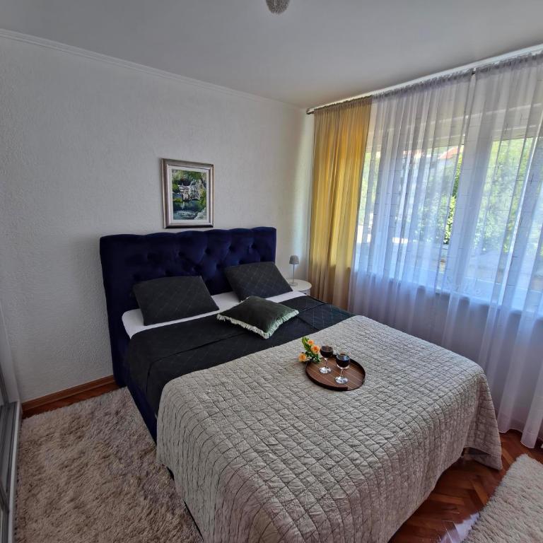 Dea - Apartman sa Terasom - 9