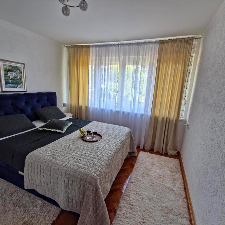Dea - Apartman sa Terasom - 7