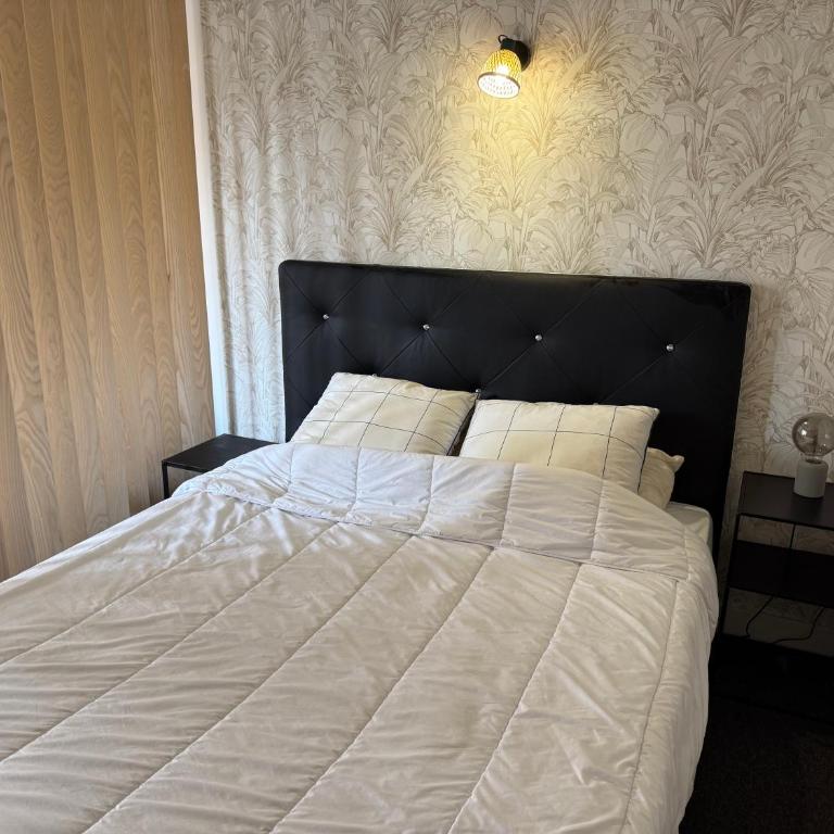 CANNES Croisette, CARLTON - Appartement 1 Chambre - 11