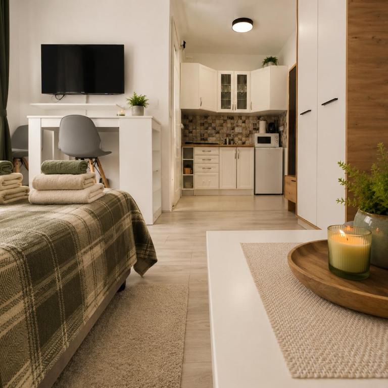 Apartmani Krčmarica 9 - Apartman sa 1 Spavaćom Sobom - 8