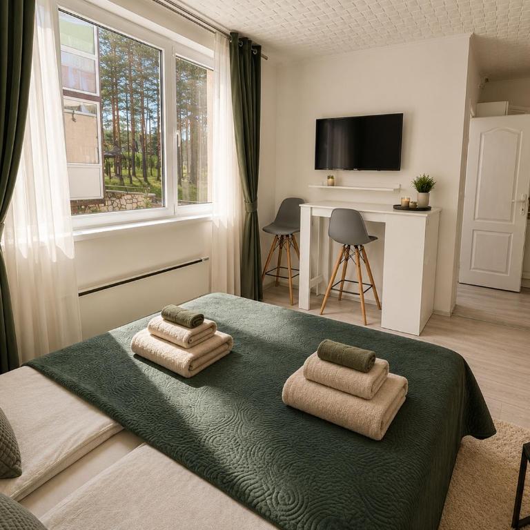 Apartmani Krčmarica 9 - Apartman sa 1 Spavaćom Sobom - 11