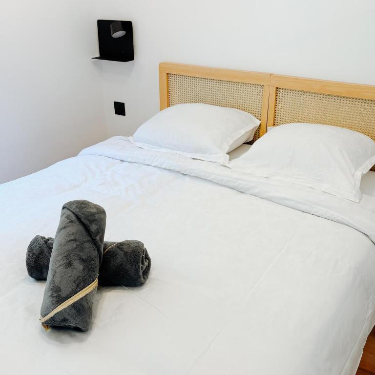 Guest House au Coeur de Nice - Deluxe Apartment mit Balkon und 2 Schlafzimmern - 6