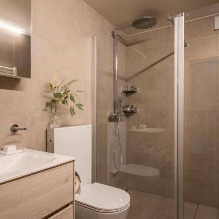 Property with peaceful surroundings in Les Houches - Appartement Deluxe - 37