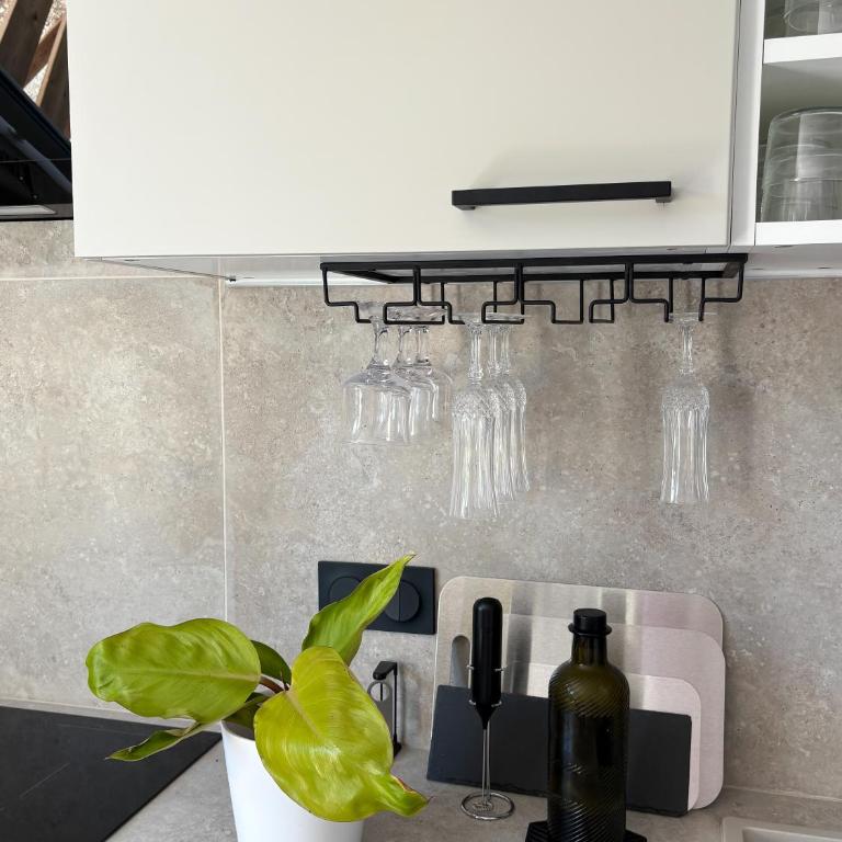 Guest House au Coeur de Nice - Superior Apartment mit 1 Schlafzimmer und Balkon - 10