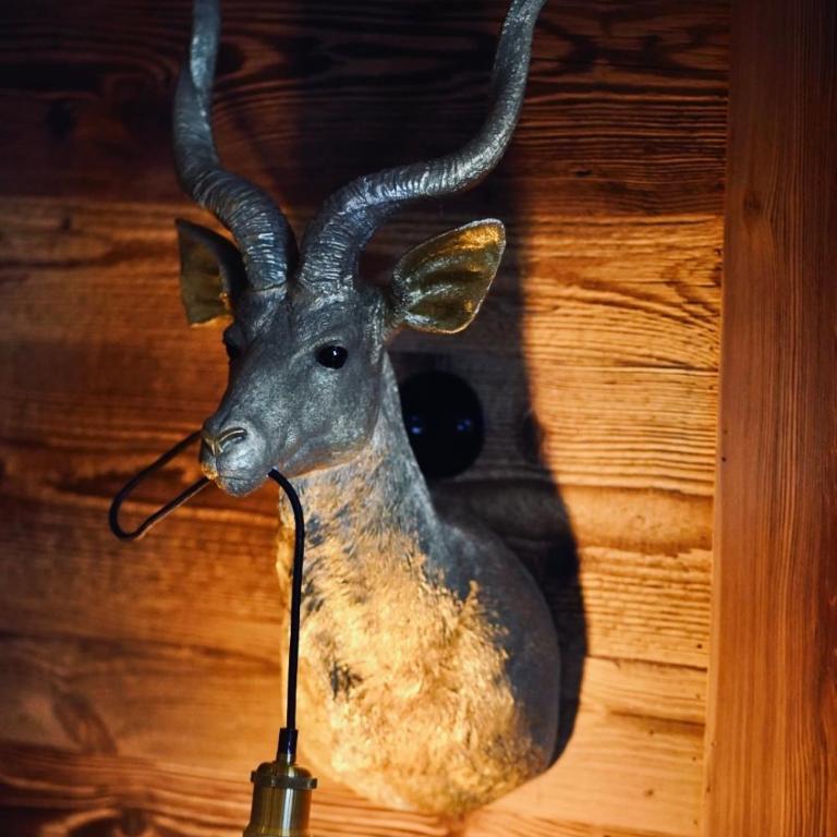 Moontain Lodge - Chalet - 56