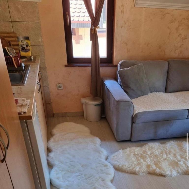 Vila Tiha Noć - Apartman sa 1 Spavaćom Sobom - 10