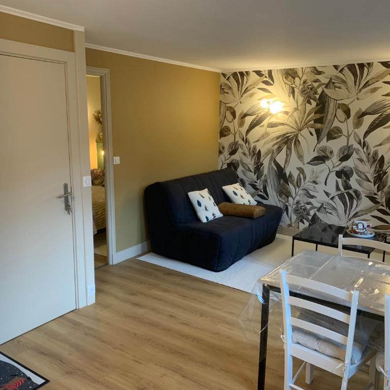 Superbe appartement plein centre ville - Apartment mit 1 Schlafzimmer - 7