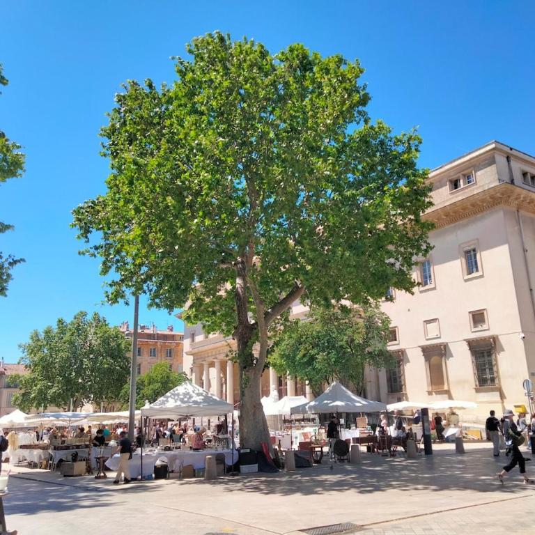 charmant studio 2-4 personnes centre historique Aix en Provence - Apartamento de 2 dormitorios - 7