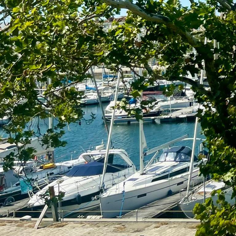 Vue sur le Vieux Port - Appartamento con 1 Camera da Letto - 3