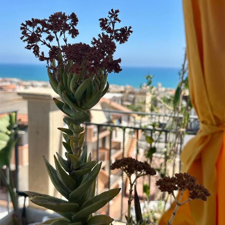 Villa Magda - Appartamento con Vista Giardino - 5